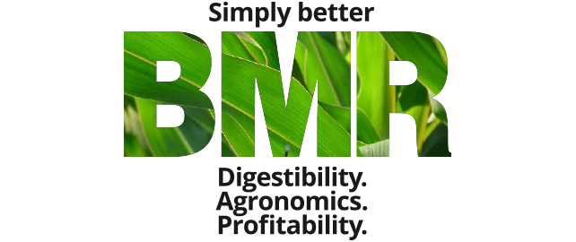 BMR logo